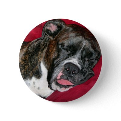 American Boxer Buttons by ironydesignphotos