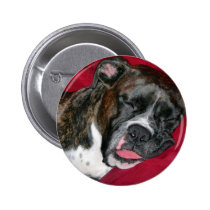American Boxer buttons
