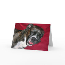 American Boxer cards