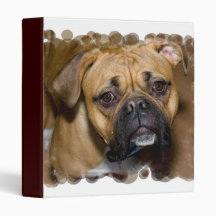 American Boxer Dog Binder