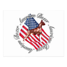 American Boxer notecard Post Card