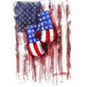 American Boxing Woman t-shirts