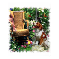 American Brittany Spaniel Art Print print