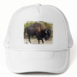 American Buffalo Baseball Cap Trucker Hat