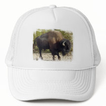 American Buffalo Baseball Cap Trucker Hat