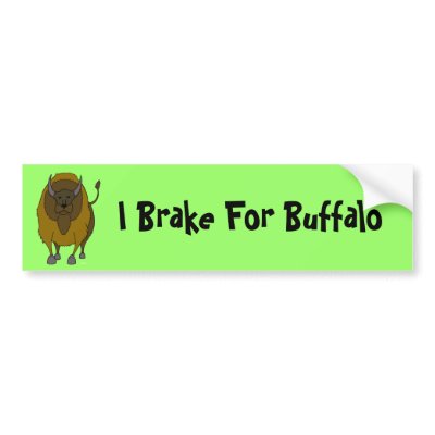 American Buffalo Bison Cartoon Bumper Sticker by Scraptoons
