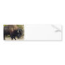 American Buffalo Bumper Sticker