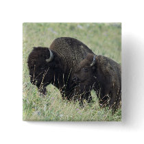 American Buffalo Buttons