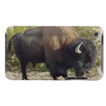 American Buffalo iTouch Case Barely There Ipod Cover