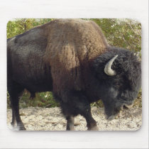 American Buffalo Mousepad