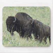 American Buffalo Mousepad
