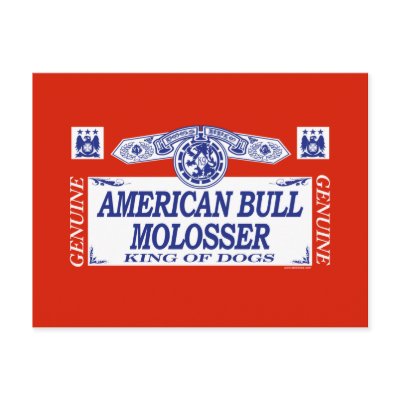 American Bull Molosser Post Cards by dogbreedz