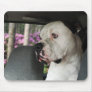 American Bull Mouse Pad
