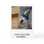 american bulldog birthday greeting cards