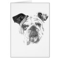American Bulldog Greyscale zazzle_card