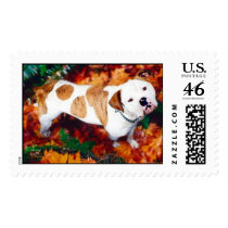 American Bulldog in Autumn postage