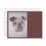American Bulldog Custom Announcement