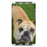American Bulldog iTouch Case casemate cases