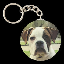 American bulldog keychain