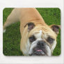 American Bulldog Mouse Pad