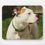 american bulldog mousepad