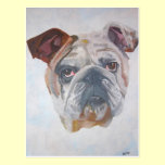 American Bulldog postcards