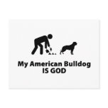 American Bulldog