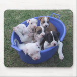 American Bulldog Puppies Mouse Pads
