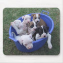 American Bulldog Puppies mousepads