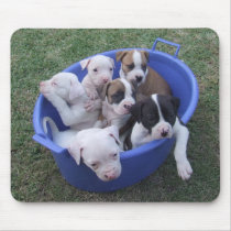 American Bulldog Puppies mousepads by kit2008 American Bulldog Puppies mousepads