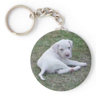 American Bulldog Puppy Keychains by kit2008