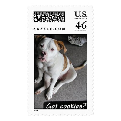 American Bulldog Puppy  Postage by zyffyr
