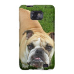 American Bulldog Samsung Galaxy Case casemate cases
