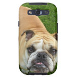 American Bulldog Samsung Galaxy Case casemate cases