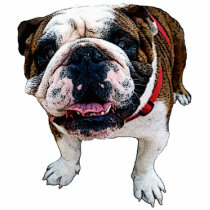 American Bulldog Sculpture photo sculptures