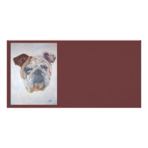 American Bulldog "Yale" photo cards by taiche American Bulldog "Yale" photo cards