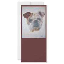 American Bulldog  "Yale" rack cards