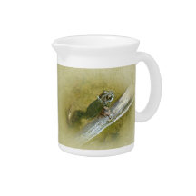 American Bullfrog - Rana catesbeiana Beverage Pitcher