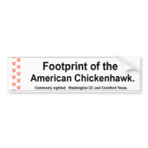 American Chickenhawk Bumper Sticker