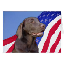 American Chocolate Labrador cards by dogwiregifts American Chocolate Labrador cards