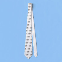 American Classic Motor Home ties