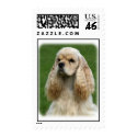 American Cocker Spaniel  stamp