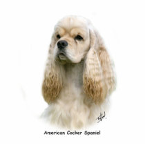 American Cocker Spaniel 9Y244D-035 photo sculptures