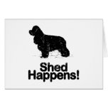 American Cocker Spaniel Cards