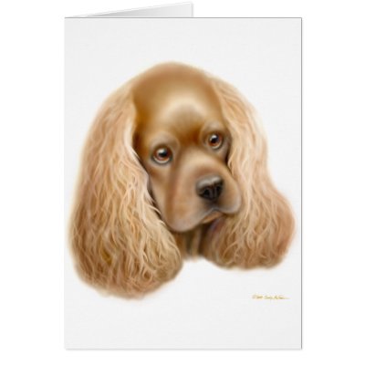 American Cocker Spaniel Card by twopurringcats