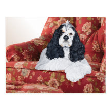American Cocker Spaniel in Red Chair Postcard