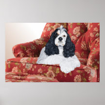 American Cocker Spaniel in Red Chair Print