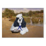 American Cocker Spaniel Sailor Greeting Cards
