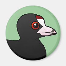 American Coot Refrigerator Magnet