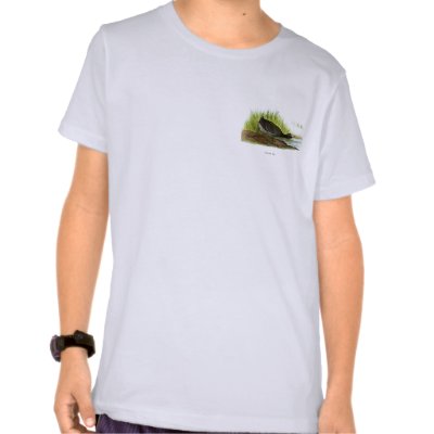American Coot T-shirt by jarthurdavis
